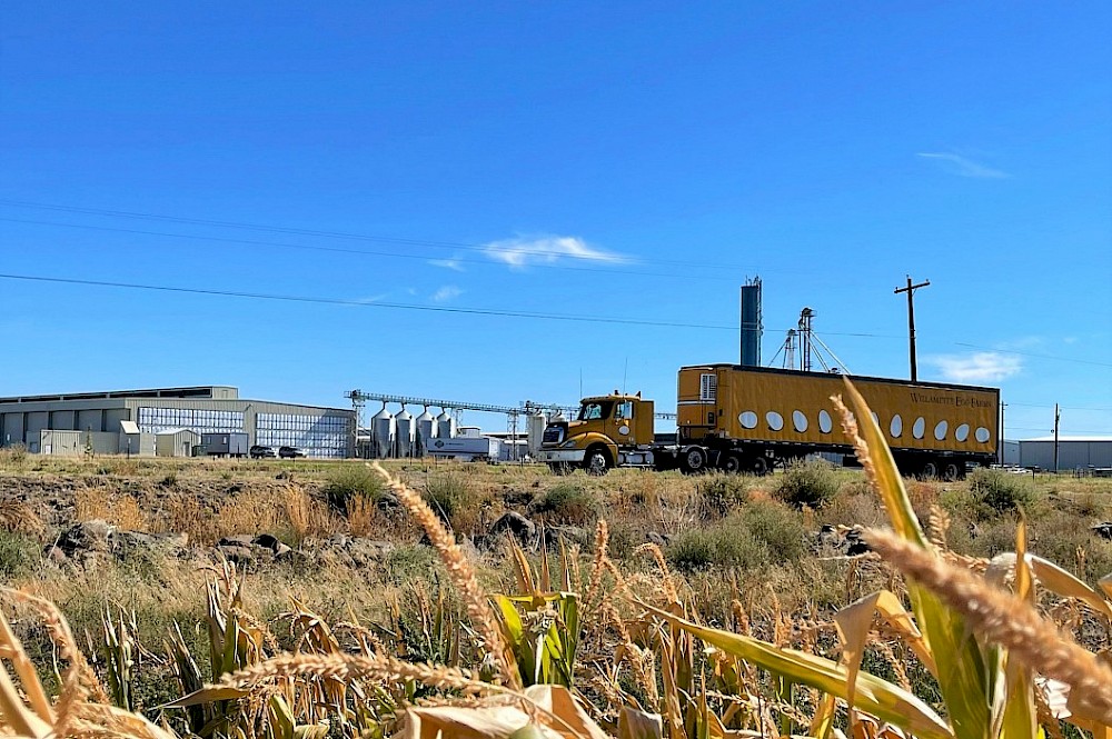 truck_-_feedmill_11_2