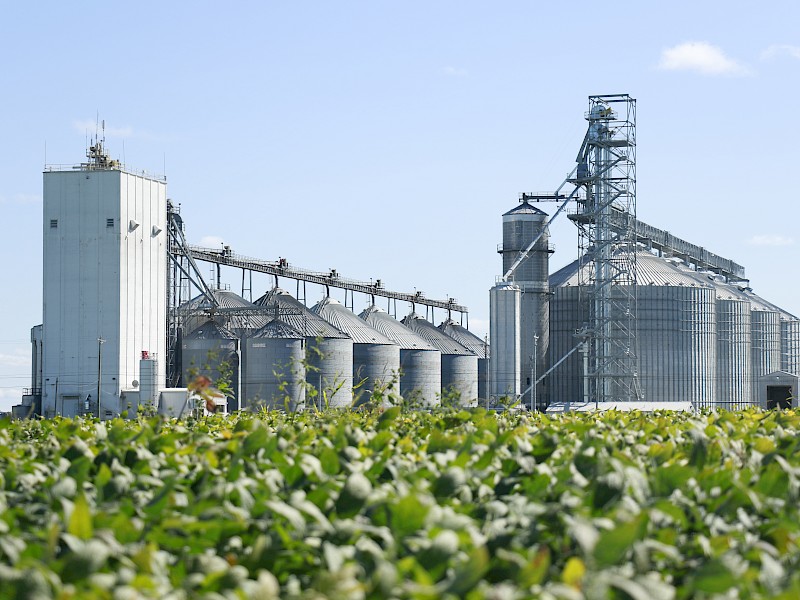 ensuring-environmental-stewardship-as-a-modern-egg-farming-company