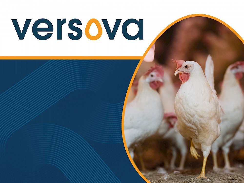 versova_blog_graphics_4-26_thumbnail_blog_1